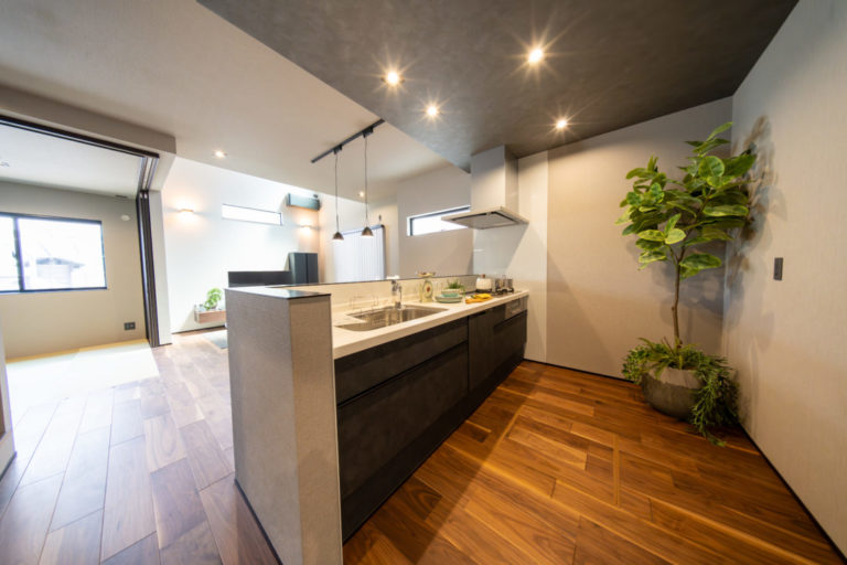 DSC09722-Enhanced-NR