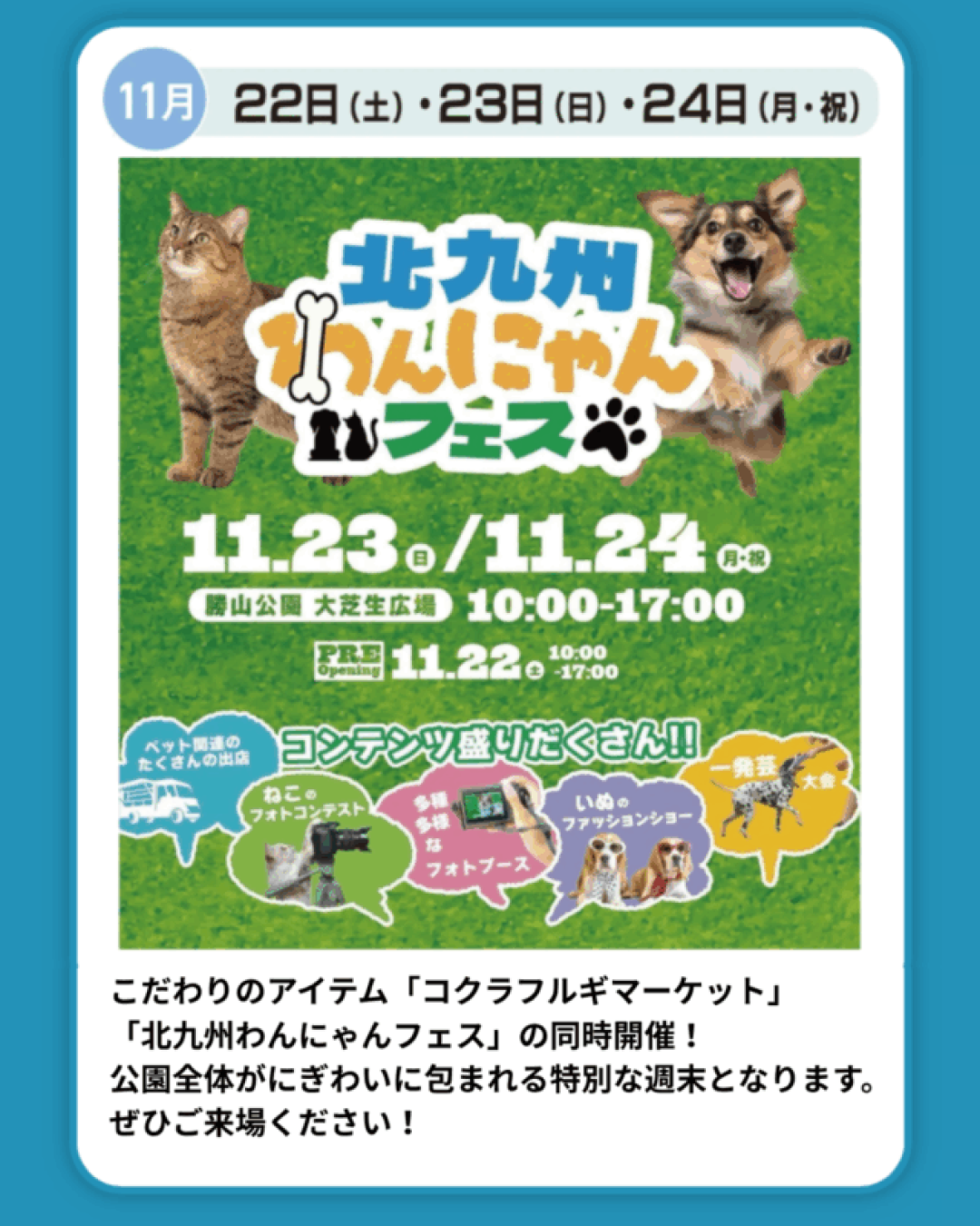 こだわりのアイテム「コクラフルギマーケット」 「北九州わんにゃんフェス」の同時開催！ 公園全体がにぎわいに包まれる特別な週末となります。 ぜひご来場ください！.zip - 3